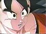 Dragonball OVA (5)